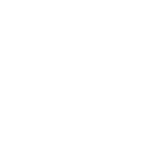 White LinkedIn logo.